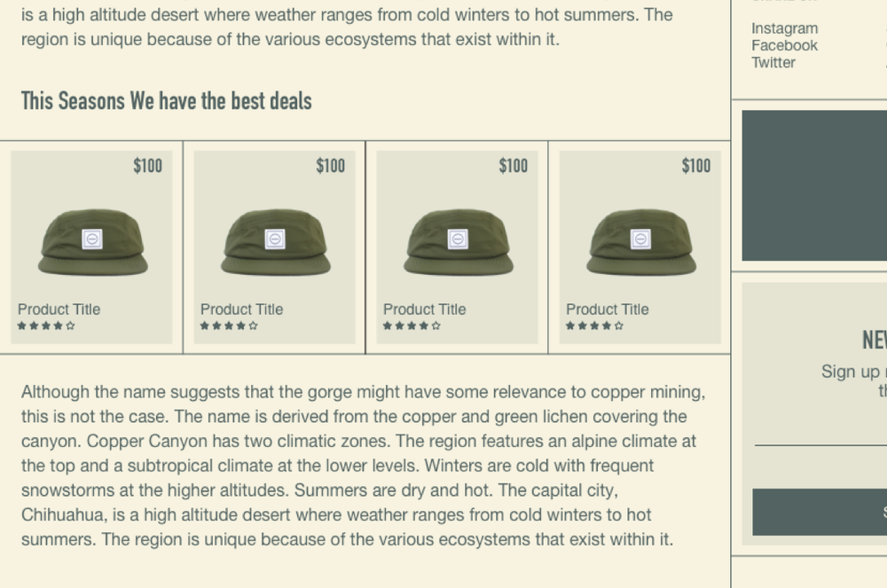 screenshot of novl's flagship theme coming soon